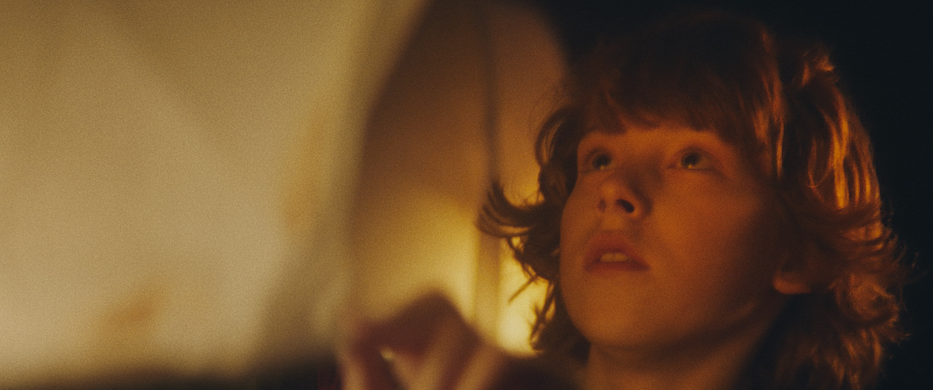 Are you a lumen being? Click here and find out.